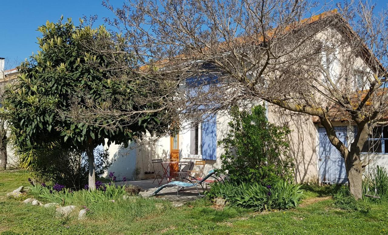 Petite Maison Refaite A Neuf Dans Mas Du 19Eme Siecle Arlés Exterior foto